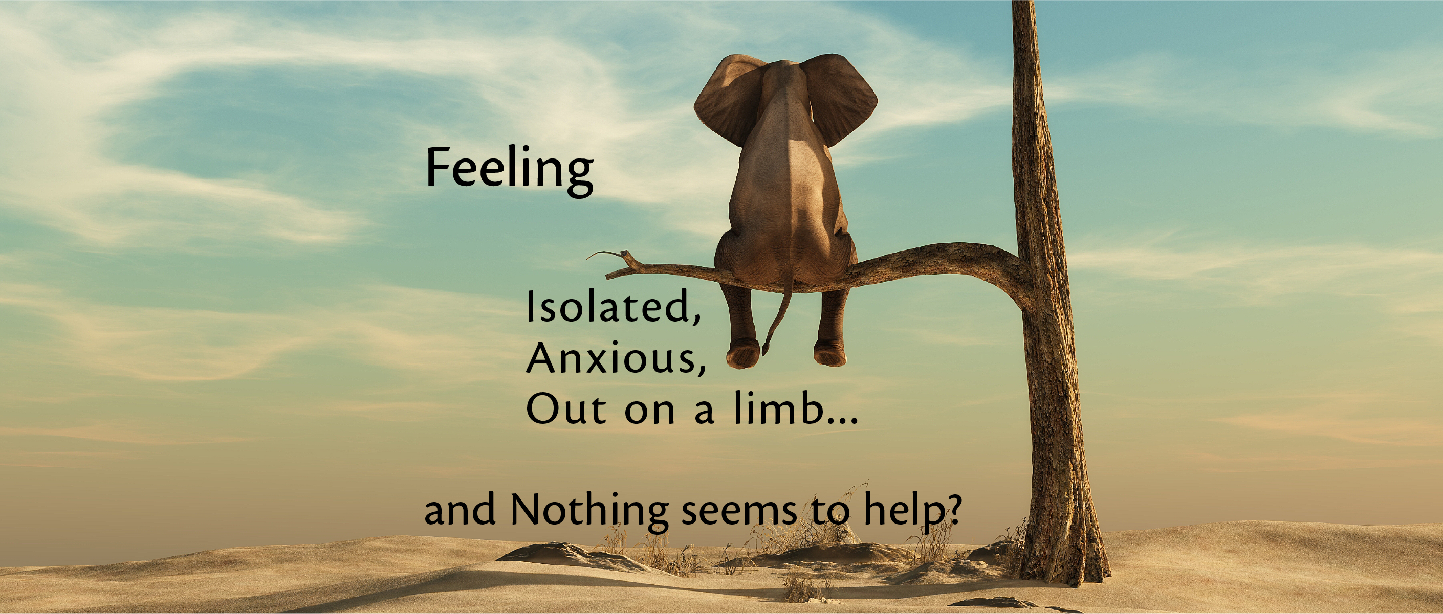 Elephant out on a limb@2x